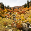 Грузия, Аджария